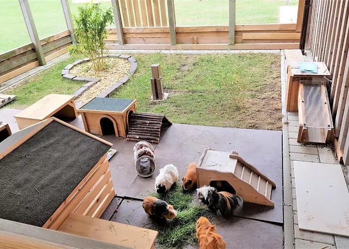 Fehmarnhaus 2 فيهمارن